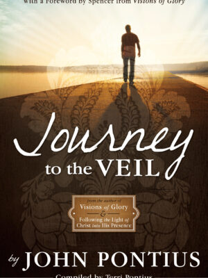 Journey to the Veil